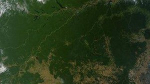 AMAZZONIA deforestazione